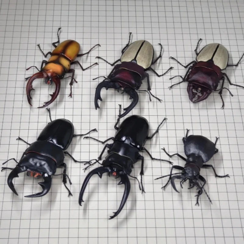 Bandai Twisted Egg Biology Großes Bildspiegel-Spiegelformiges Insektenmodell 12 Königstiger-Rüstung Spatenrüstung Insektenmodell-Ornament