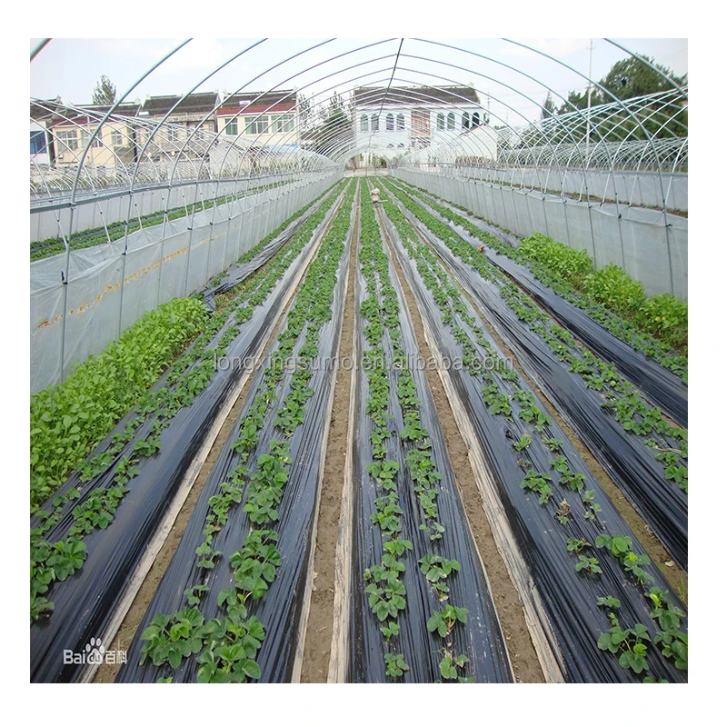 2025 농업용 LLDPE 멀칭 필름 지표 피복 시트 20/30/50μm