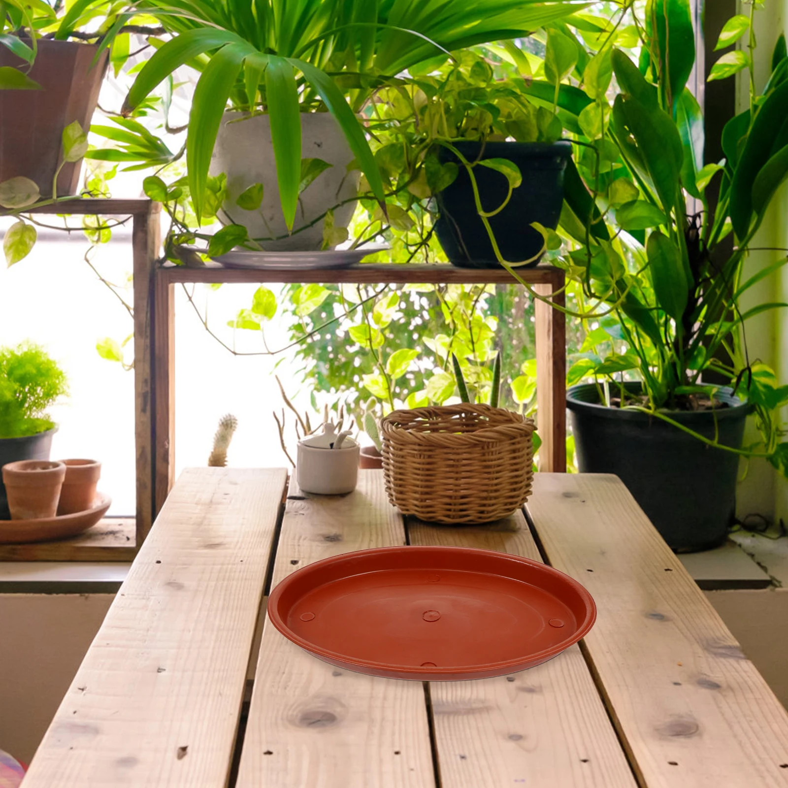 

5 Pcs Resin Planter Tray Oval Bonsai Pot Drip Bottom Plate Flower Base Plastic Trays Potted Plants