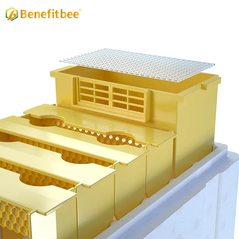 Benefitbee تصميم جديد Mini Hives Kit Queen Bee Mating Box #3