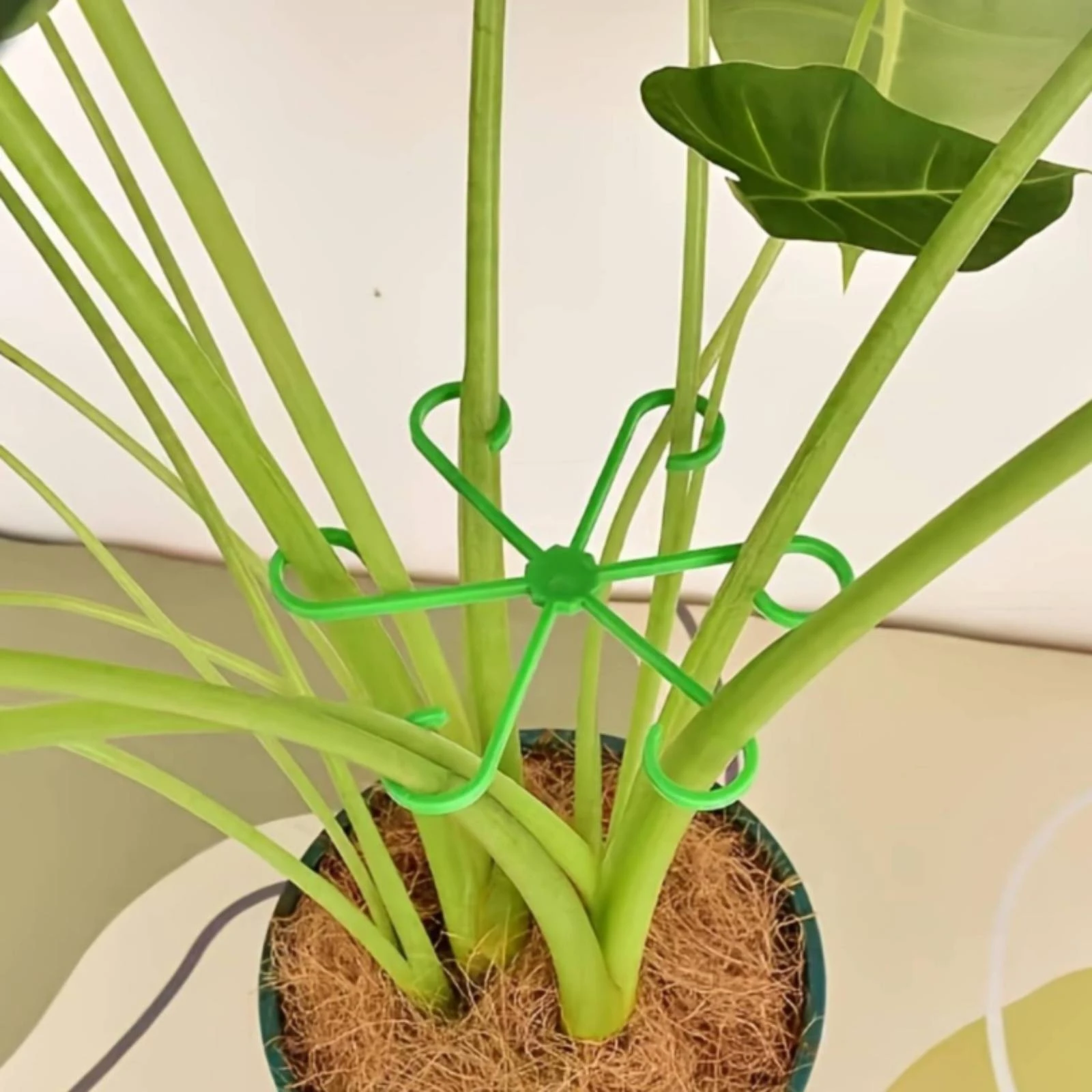 Anti-Lodging Plant Bracket Indoor & Outdoor Use Stalk Gathering Holder Plant Stalk Support Collar Gentle Hold Gardening Supply