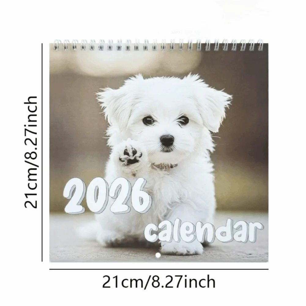 Nuovo calendario per cani in edizione 2026 Illustrazioni per cani Calendario da parete divertente Calendario da tavolo Regali di Capodanno