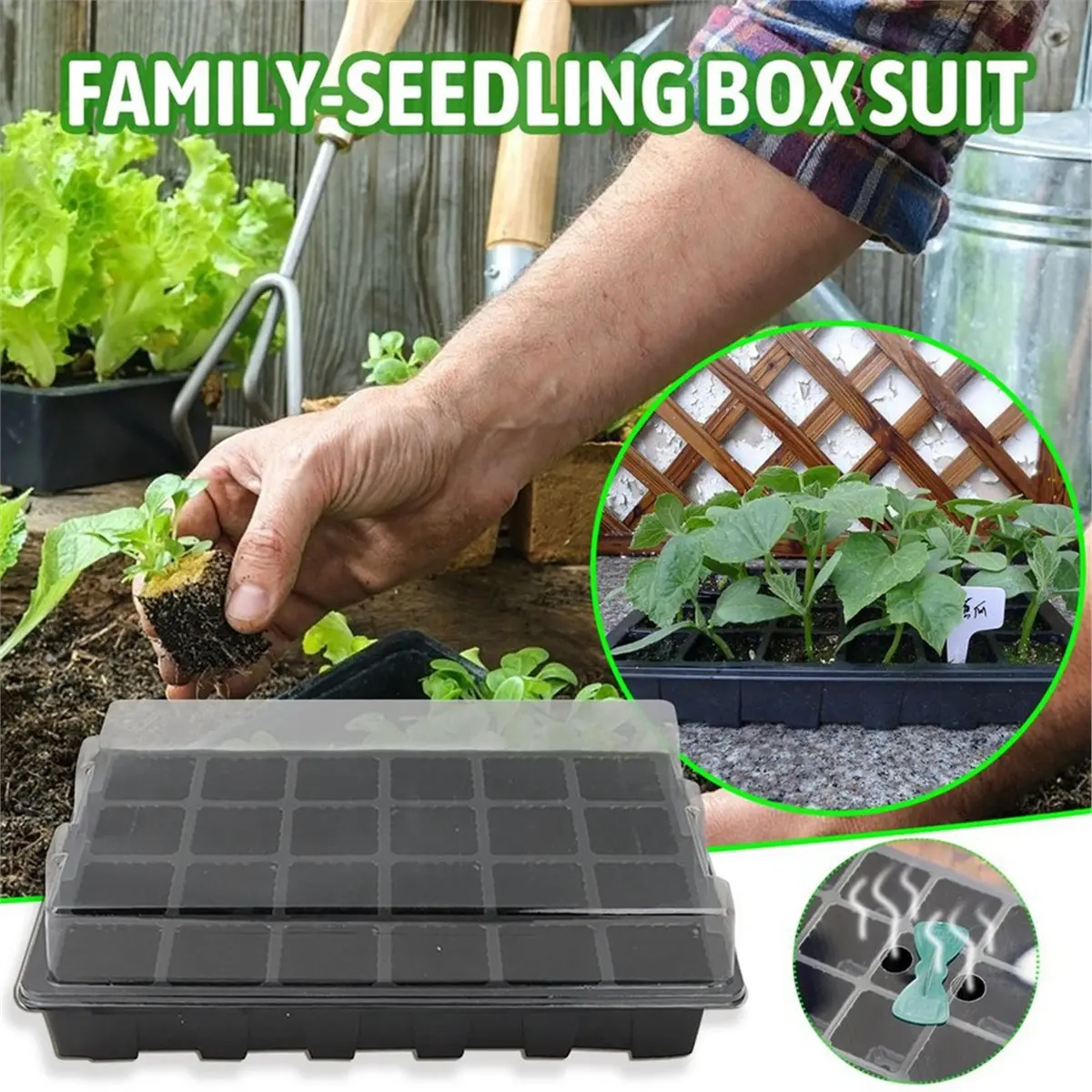 【MUST-HAVE LIST】 24 Cells Seedling Tray Germination Box for Garden Greenhouse, Planting Box for Flower, Vegetable Seeds