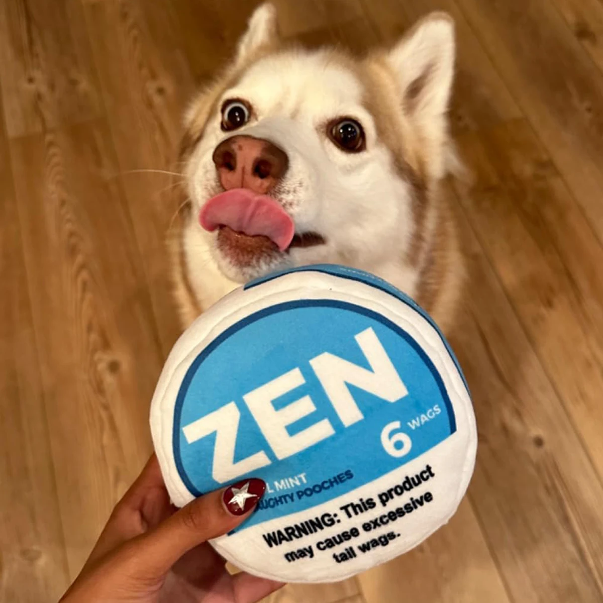 Zen Pupper Deckies Parodie Hundespielzeug – Plüsch quietschendes und knuspriges lustiges Hundespielzeug – Sabbern Mint – Detail 2