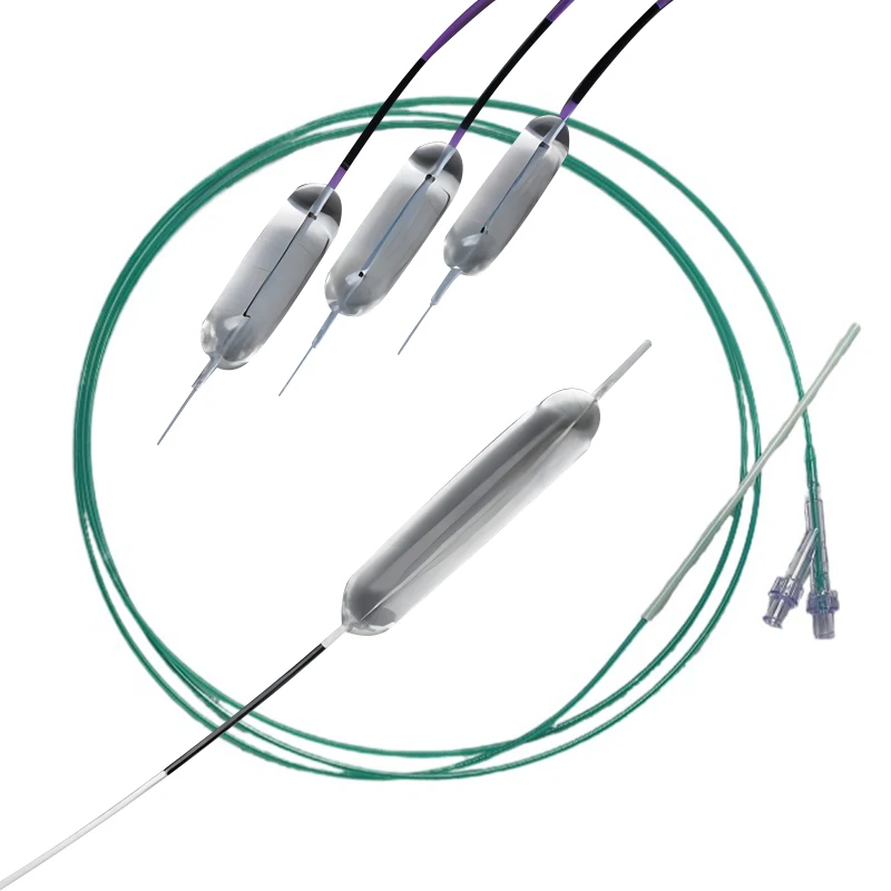 

Esophageal Balloon Dilatation Catheter Digestive Tract PTA