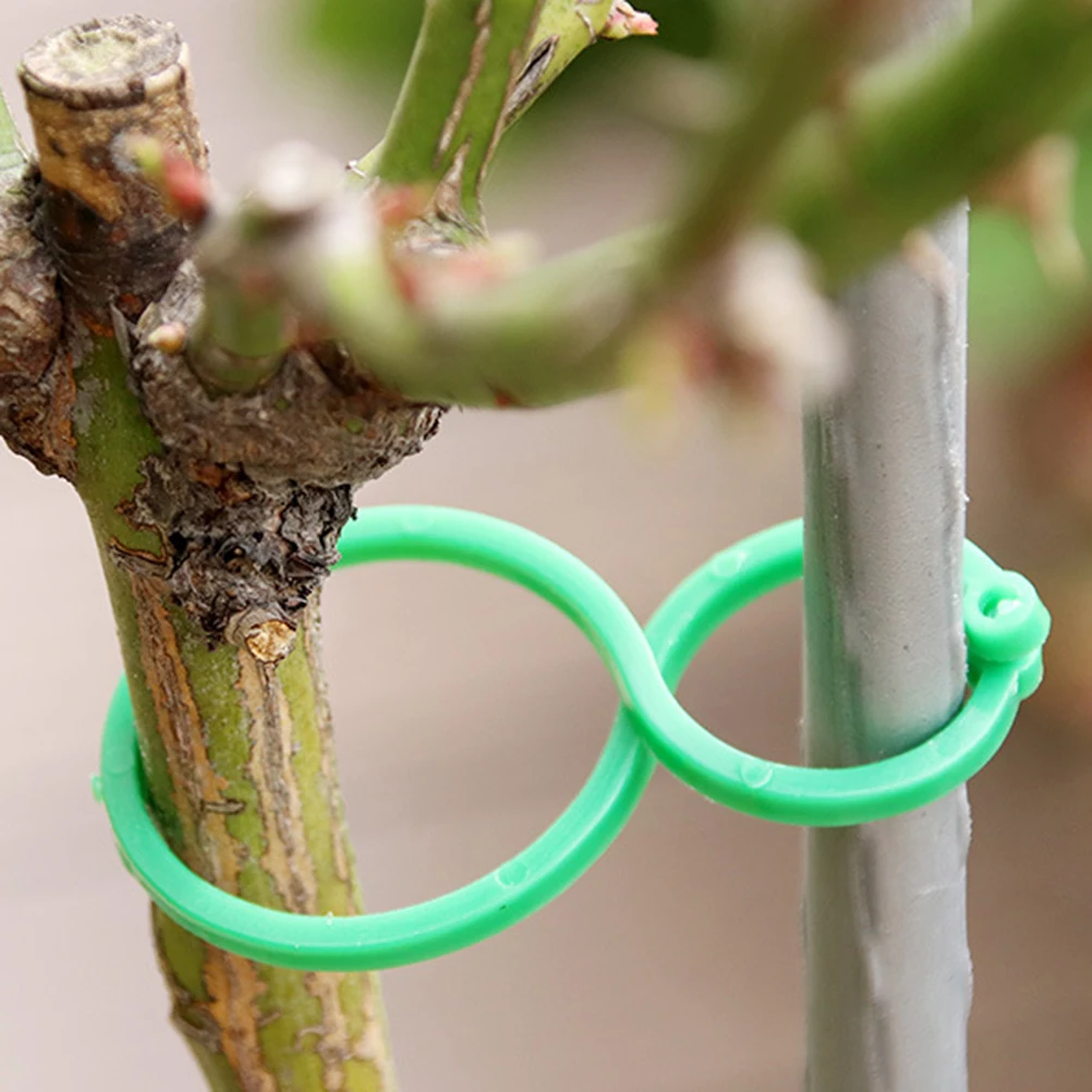 

200Pcs Garden Tie Pe Durable Reusable Plant Support Tie Gourd Snap Buckle Auxiliary Fixed Branches Vine Tree Staking Organizer