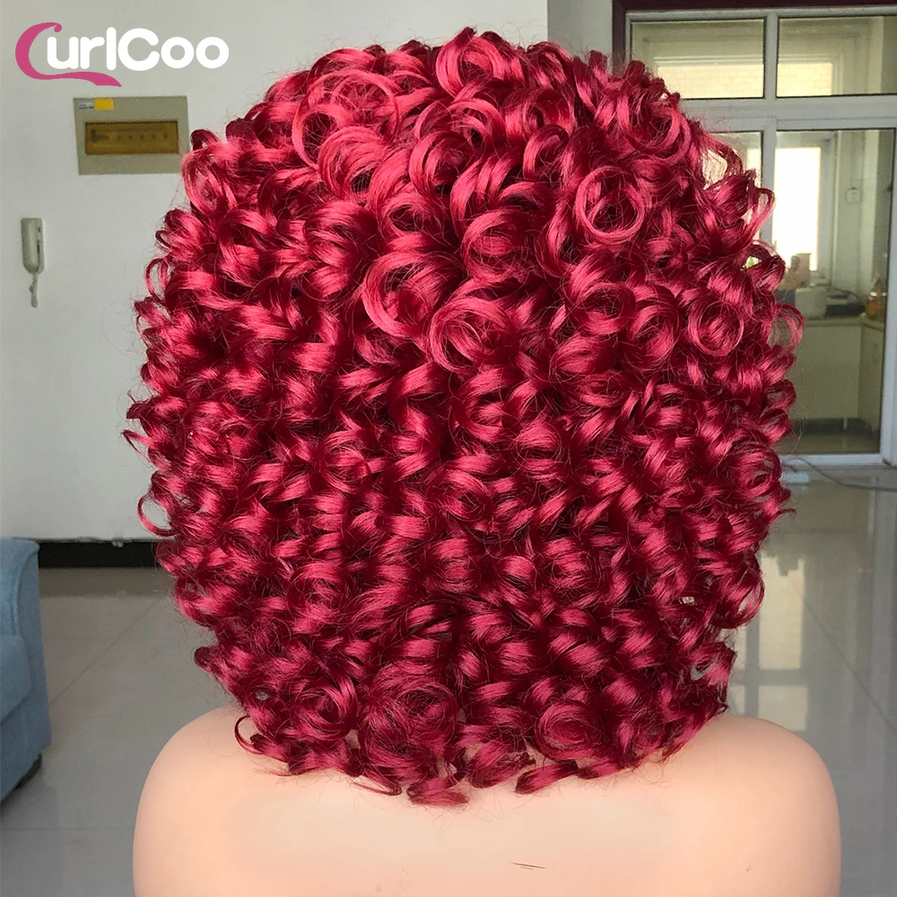 Curly Afro Wigs for Black Women Short Curly Wig with Bangs Kinky Curls Curly Hair Synthetic Wigs for African American Women