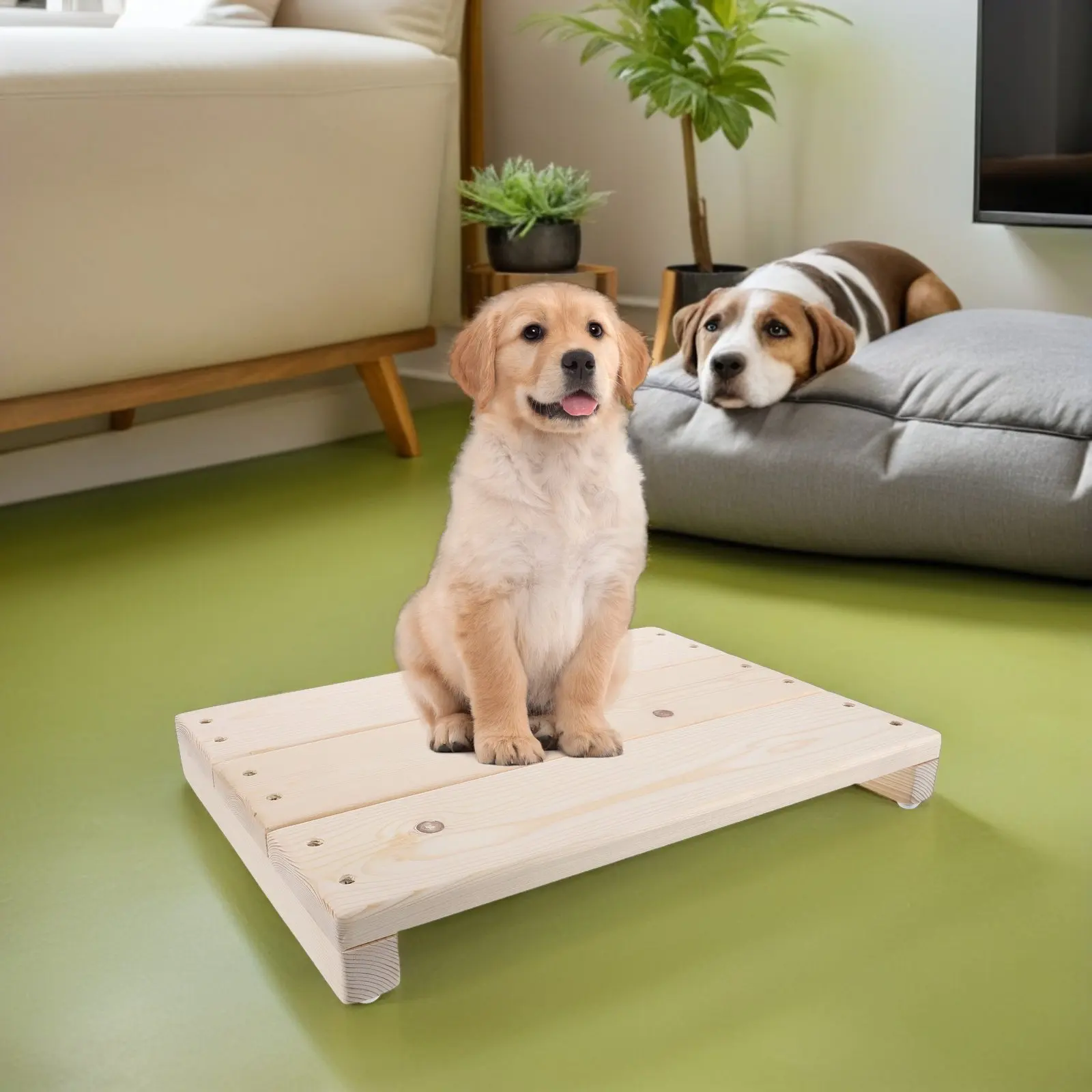 

Wooden Dog Training Platform With Non-Skid Surface Pet Puppy Sitting Board Agility Training Indoor Footrest Stool Plant Stand