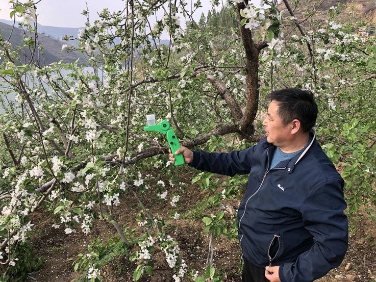 Electric pollinator for fruit trees, flower dispenser, apple, peach, pear, big cherry, kiwifruit pollen pollination gun