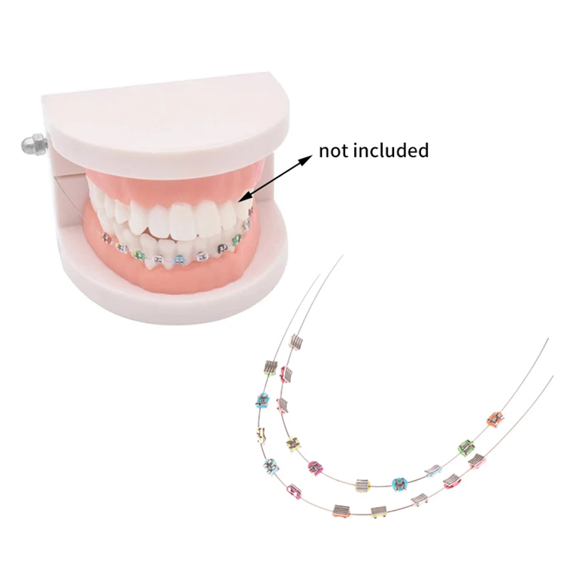 1Pair Temporary Tooth Decoration With Metal Wires,Colorful Metal Bracket And Orthodontic Ligature Ties,Dental Decoration