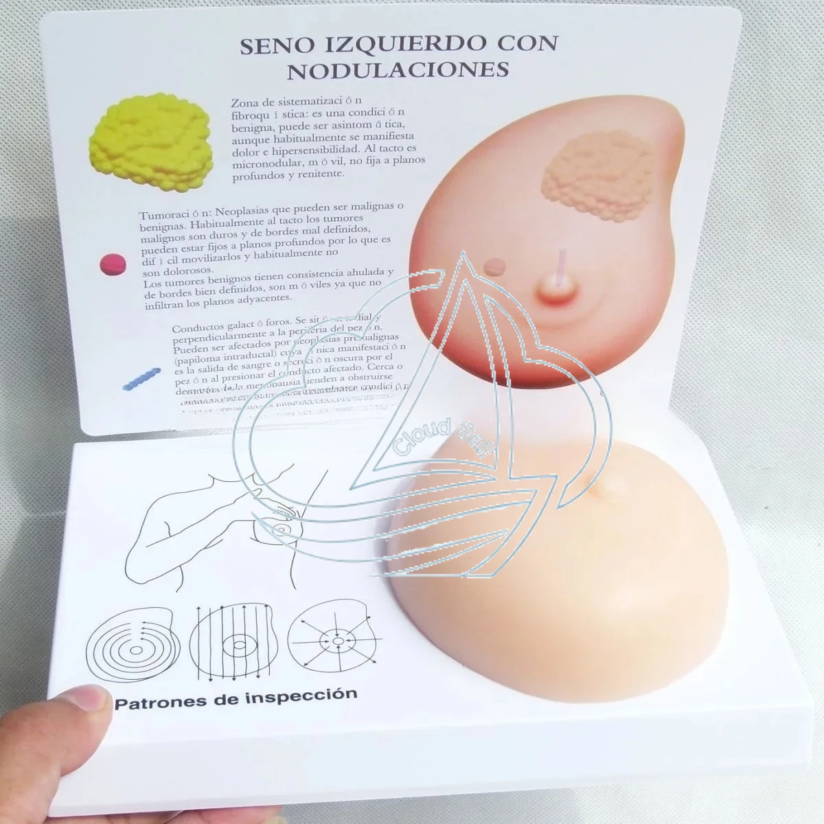 Professional Silicone Human Body Model for Breast Self-Examination Medical Training Tool Simulated Anatomy Educational Aid