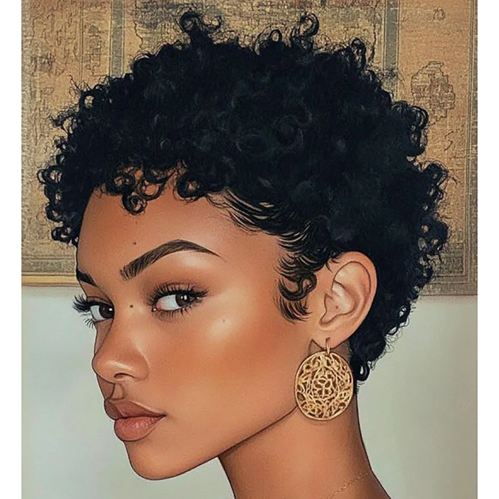 Kinky Curly Wigs Sh… - image