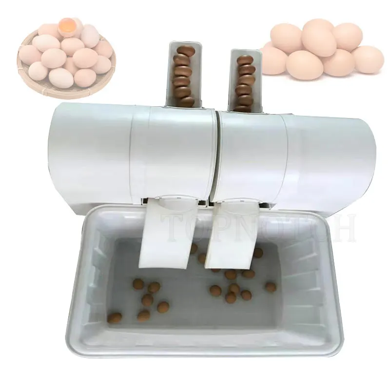 Multifunction Recycled Water Fresh Egg Cleaning Washing Machine Automatic Dirty Duck Egg Washer