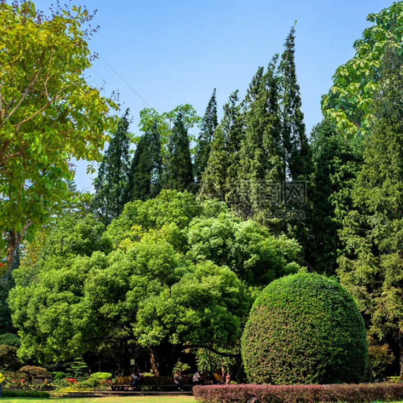 

IFlight XING2 2405 1950KV/1800KV 4-6S FPV Unibell Motor W/ 5mm Titanium Alloy shaft Compatible 5inch Propeller for FPV Drone