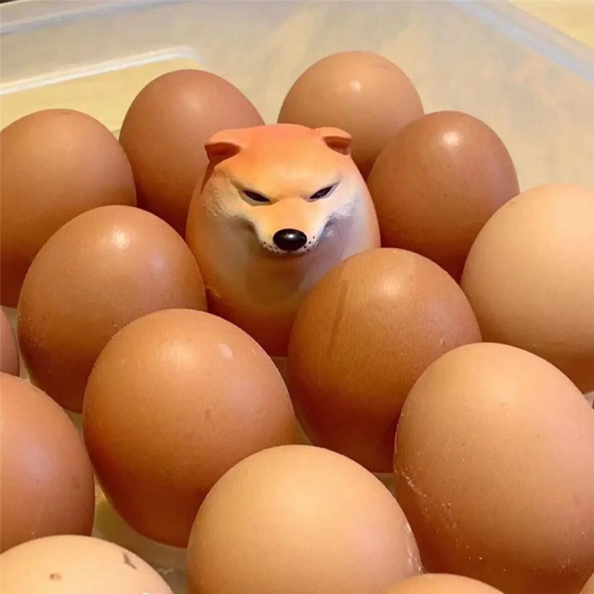 A72Z 15x Egg Dog Shiba Inu Realistic Egg Shape Desk Decor Dog & Egg Union Decoration for Home Offices Fun Christmas Gifts