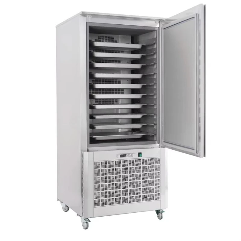 Schnellgefrieren im Ablage Kleiner Schockfroster Chiller Schlaggefrierschrank