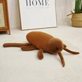 cockroach
