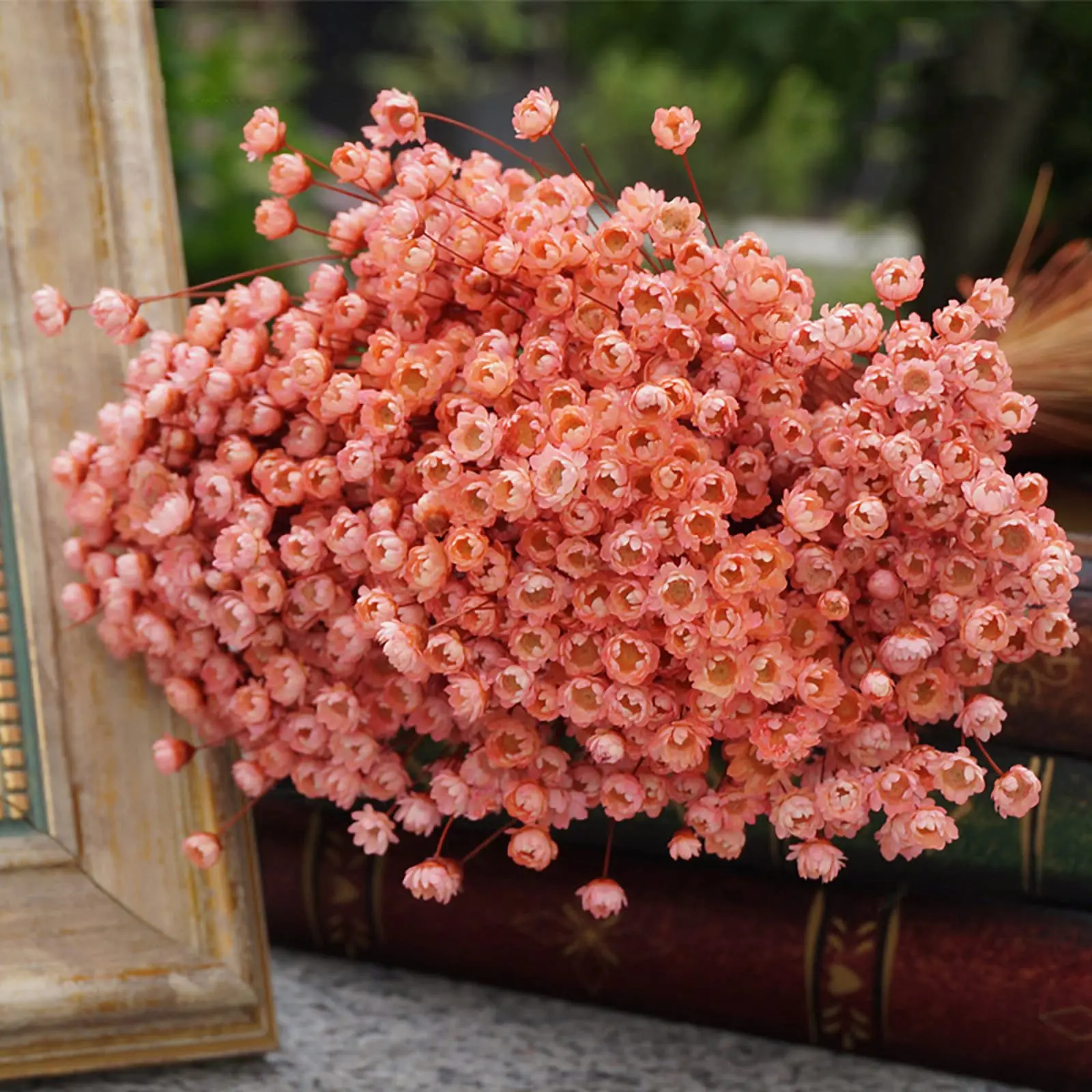 Mini Rosa eterna de flores de estrella de Brasil secas naturales, ramo de flores de exhibición para decoración del hogar, fiesta de boda, cabeza de 0,5-1cm, 30 piezas