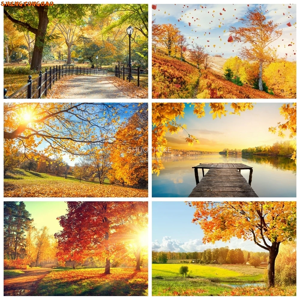 Photo Backdrops Fallen Leaves Park Way Corner Tree Child Natural Autumn Scenic Photographic Backgrounds For Photo Studio