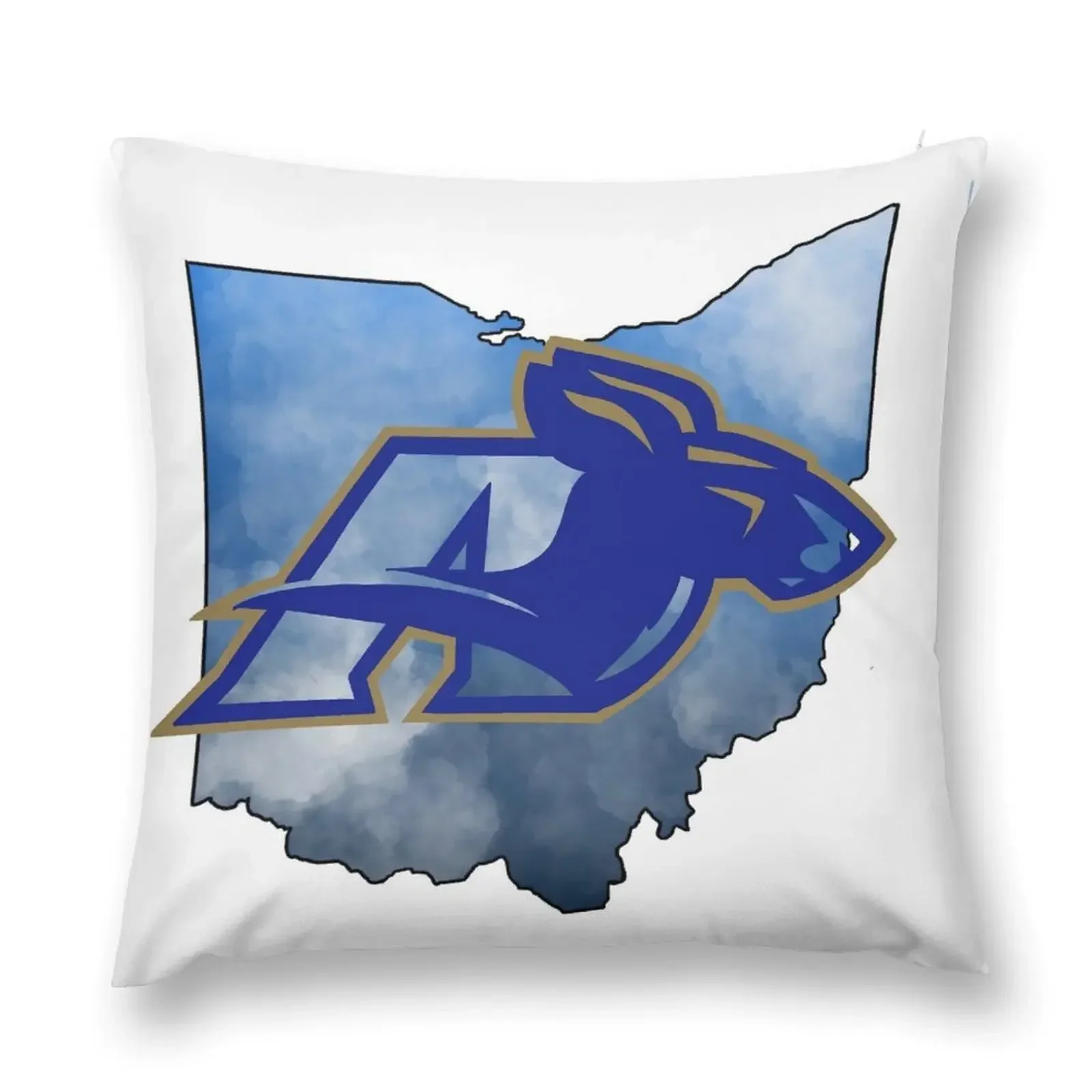 

Akron Sticker and Print Throw Pillow luxury decor autumn pillowcase Decorative pillowcase Christmas Pillow Cases pillow