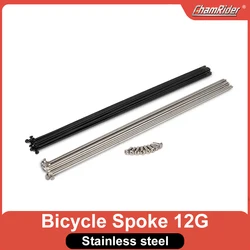 Customized Custom Made Spoke Radius knitting Needle Stainless Steel 12G Black Bicycle Electric Bike Copper Nipple