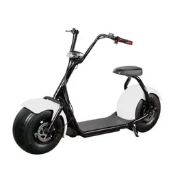 US/European Warehouse New Model Electric Scooter 3000W EEC COC Citycoco 2000w 1500w Removable Battery E Chopper 45km/h Scooters