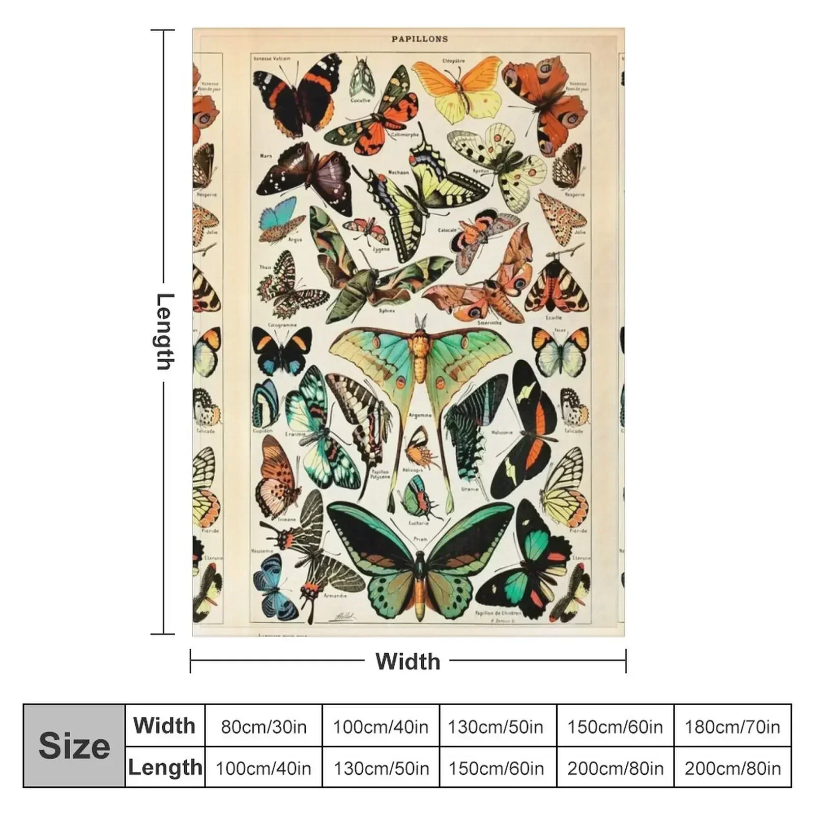 Papillon I Vintage French Butterfly Charts by Adolphe Millot Throw Blanket Thin Picnic Moving Cute Plaid Blankets