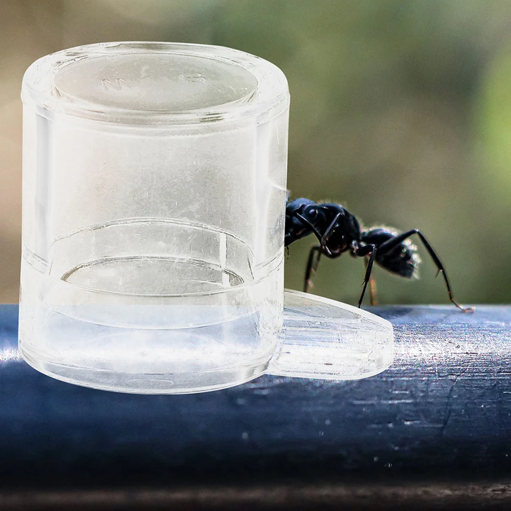 

2Pcs Pet Water Feeder Transparent Acrylic Feeding Bowl for Reptile Insect Mini Water