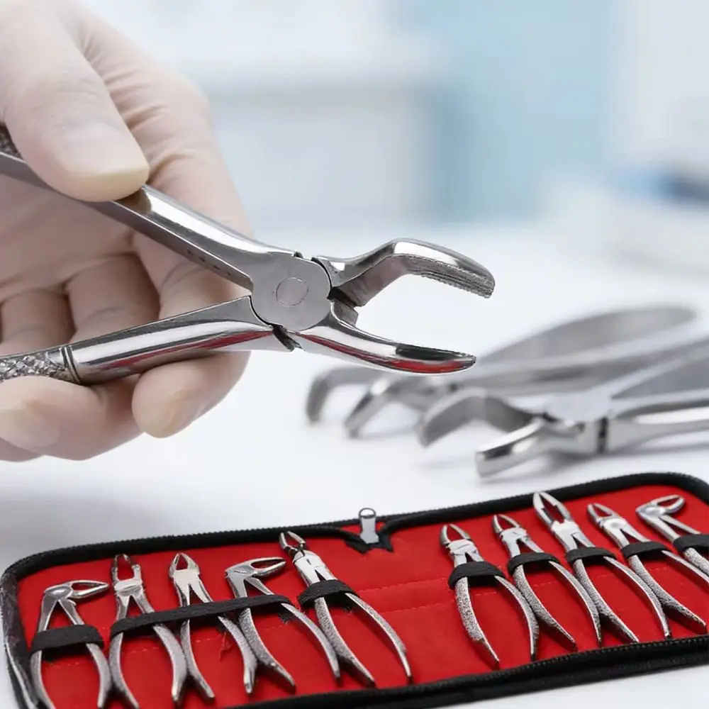 Dental Extraction Instrument Set Adult Molar Premolar Extraction Forceps Curved Root Elevator for Oral Surgery