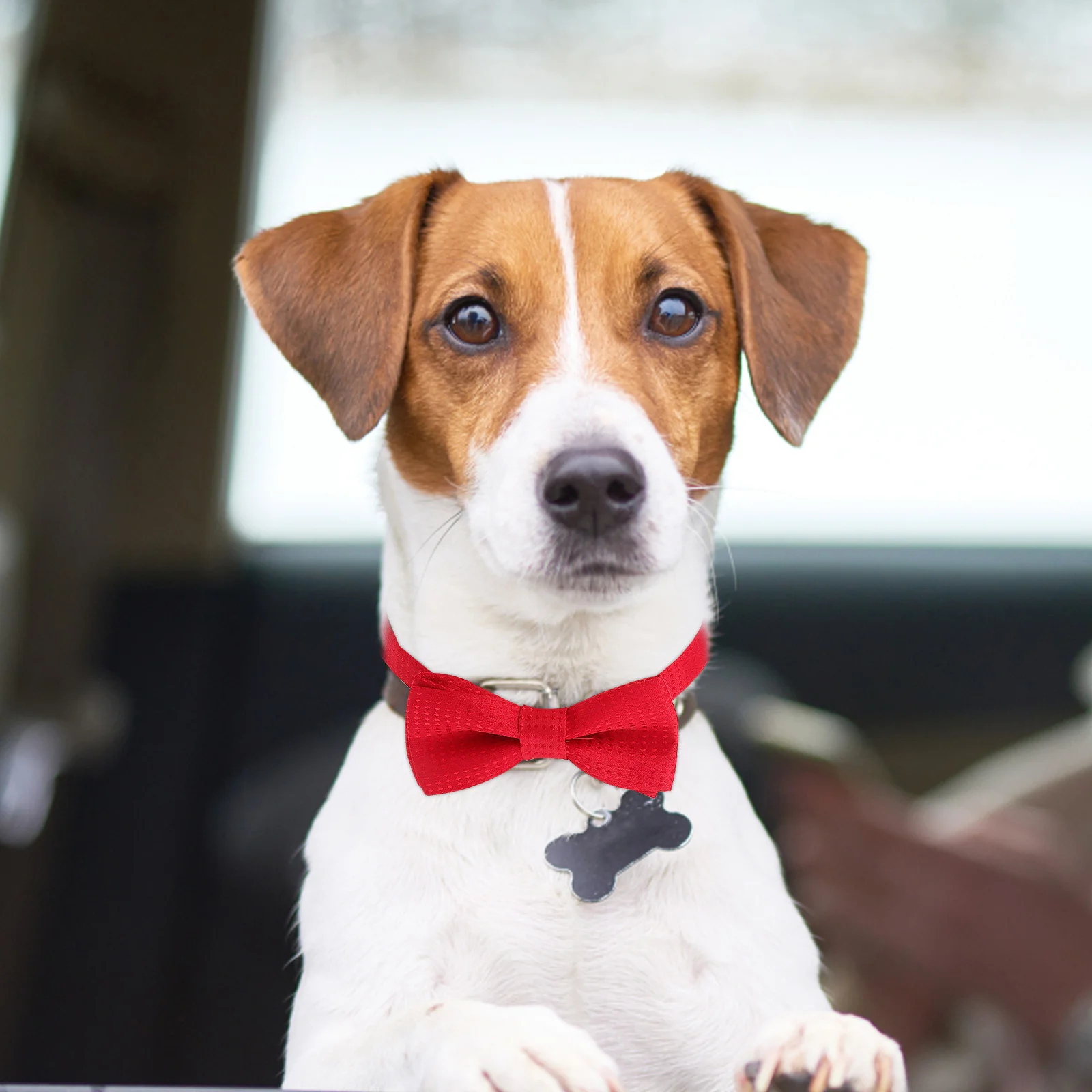 

Pet Bow Tie Adjustable Red Spotted Dog Cat Collar Snap Buckle Lightweight Bow-Knot Design For Puppy Bunny Halloween Party