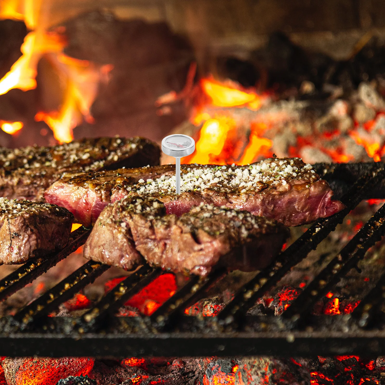 

4Pcs Food Temperature Gauge Easy Operation Metal Probe for Grilling Frying Baking Various Meats Thermometer for Cooking