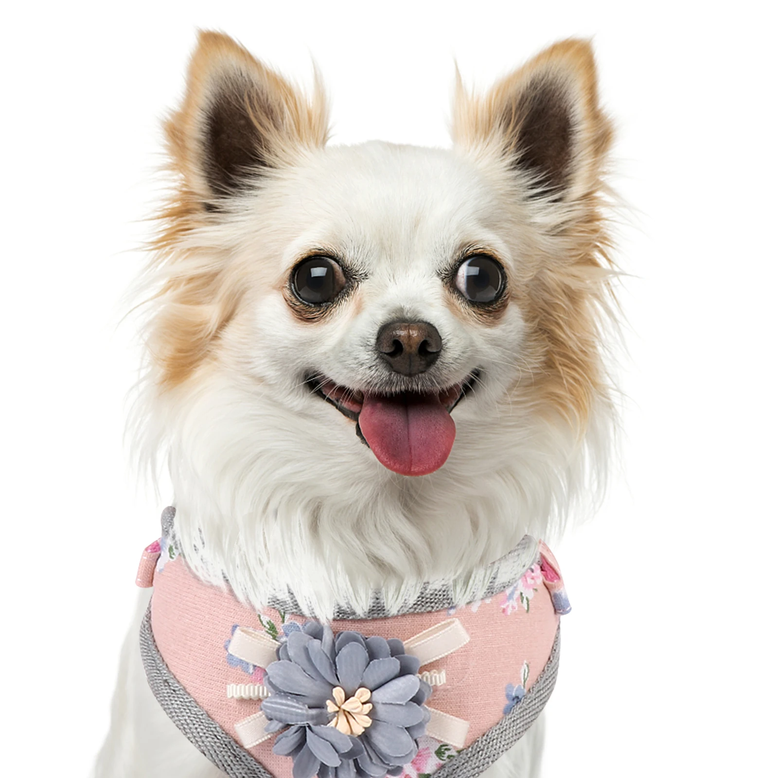 

Dog Adjustable Pet Harness Chest Straps Pet Vest Small Medium Cats Dogs Walking Puppy Harness Leash Accessories