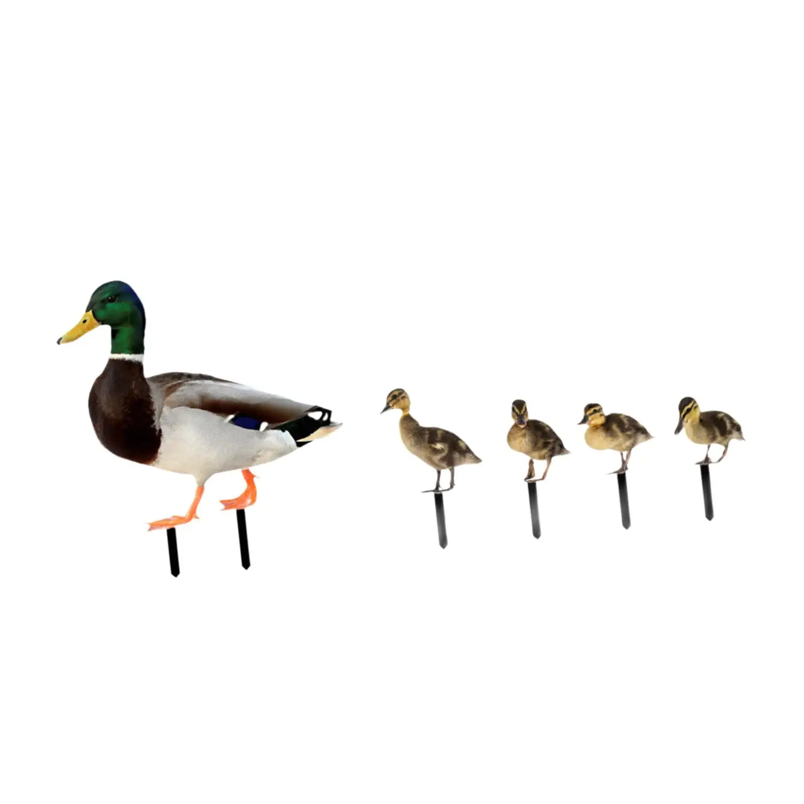5x Lifelike Duck Metal Garden Stakes, Ground Insert Ornaments for Farmhouse Lawn Courtyard, Outdoor Decor