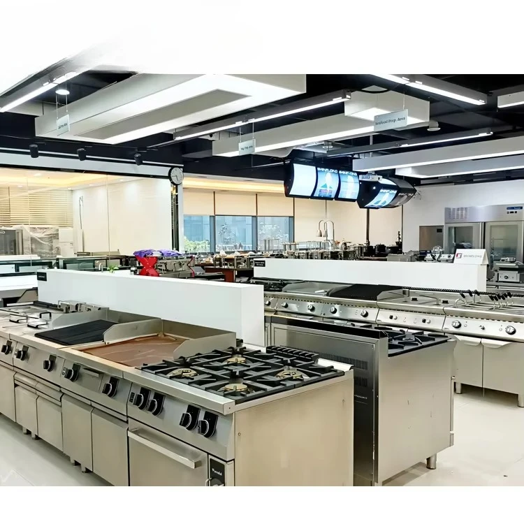 Shinelong Commercial Hotel Kitchen Equipment / Catering Equipment / Restaurant Equipment