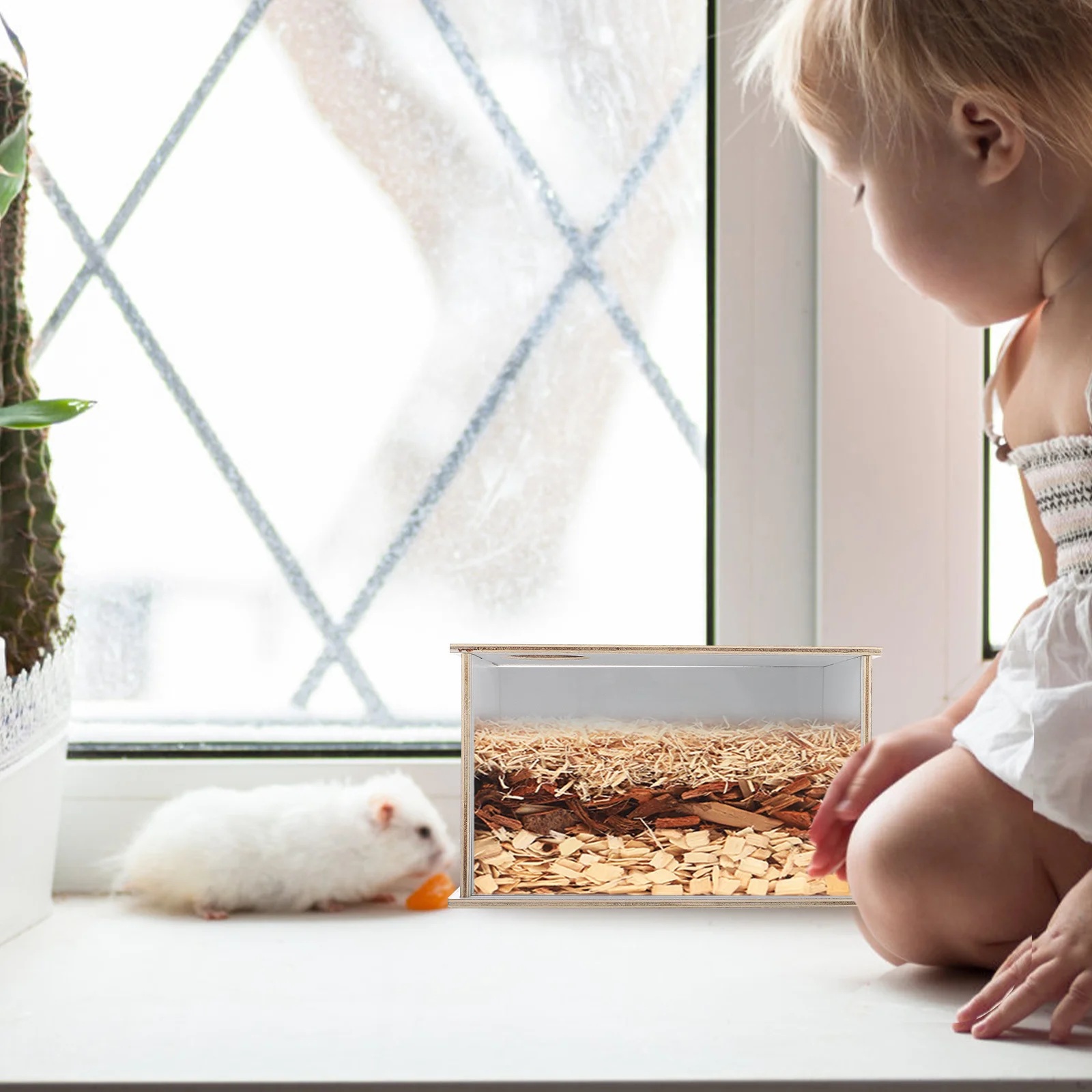 

Hamster Bathtub Acrylic Sand-Bath Box Transparent Lightweight Easy Clean Decorative Chinchilla Accessory Multi-Function Pet