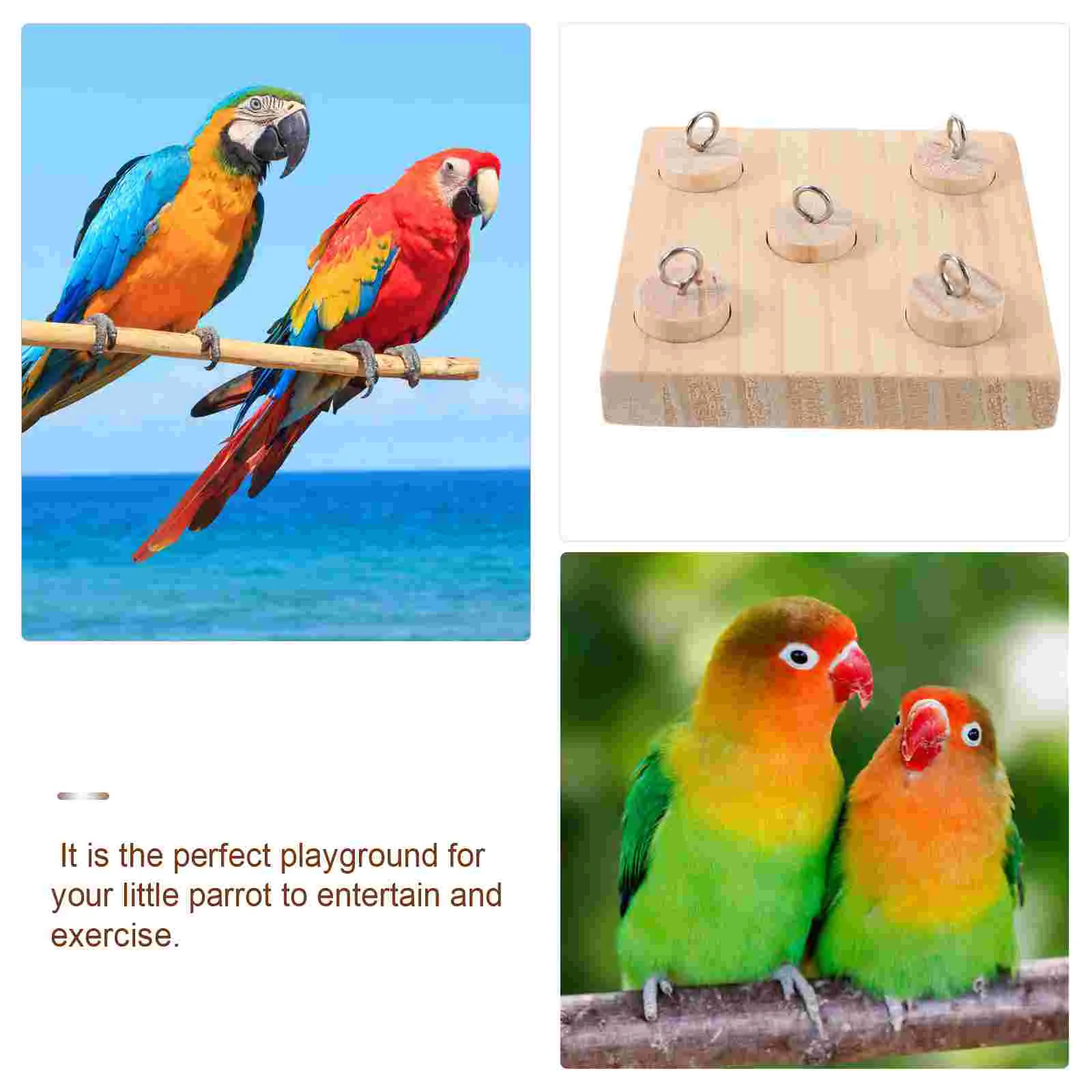 Bird Perch Parrot Training Toys Kids Playtime Pads Accessories Wooden Child Birds