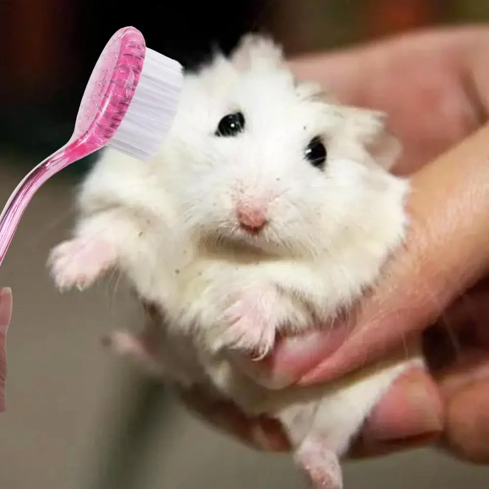 Cepillo de aseo para animales, Herramientas de limpieza suave para conejillo de indias, masaje de erizo, hámster de baño pequeño, 1 unidad