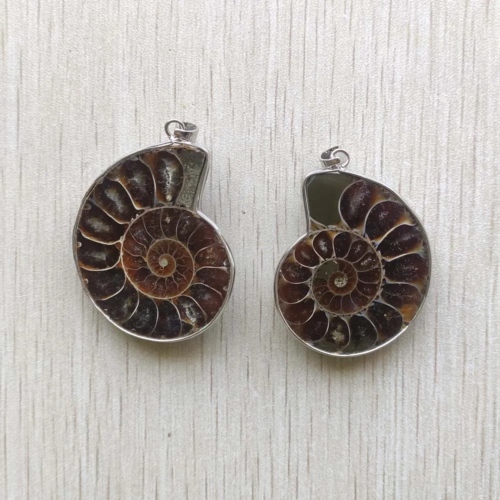 Natural ammonite snail shell healing stone pendants for necklaces jewelry accessories making fast shipping Wholesale 6pcs/lot