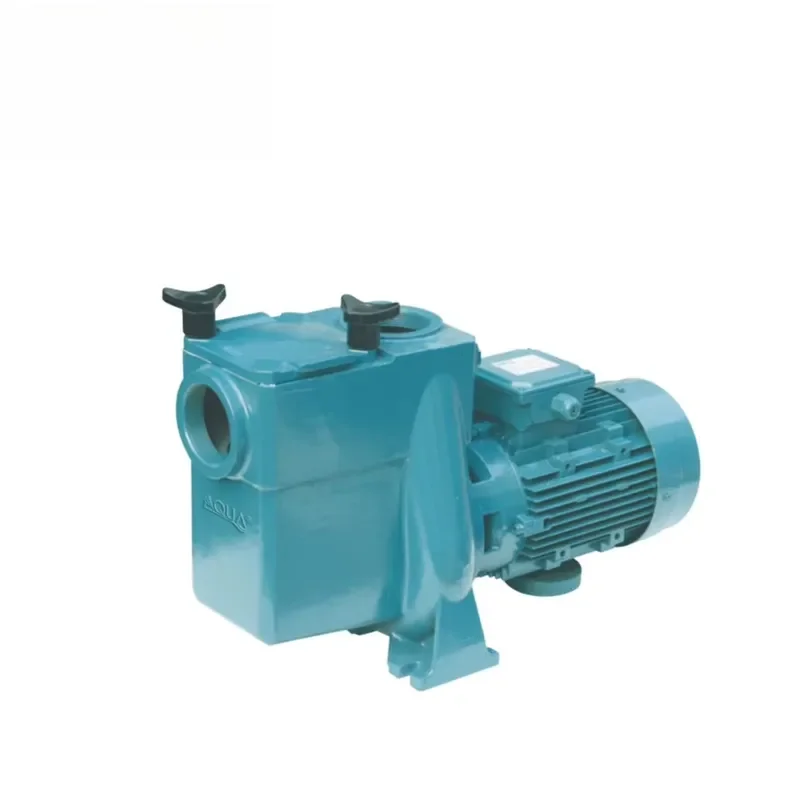 Professional Chinese Swimming Pool Pumps