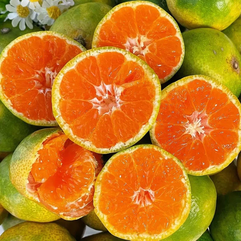 Yoo Eun-I's Farmer's Sweet and Sour Jeju Island House برتقال الماندرين