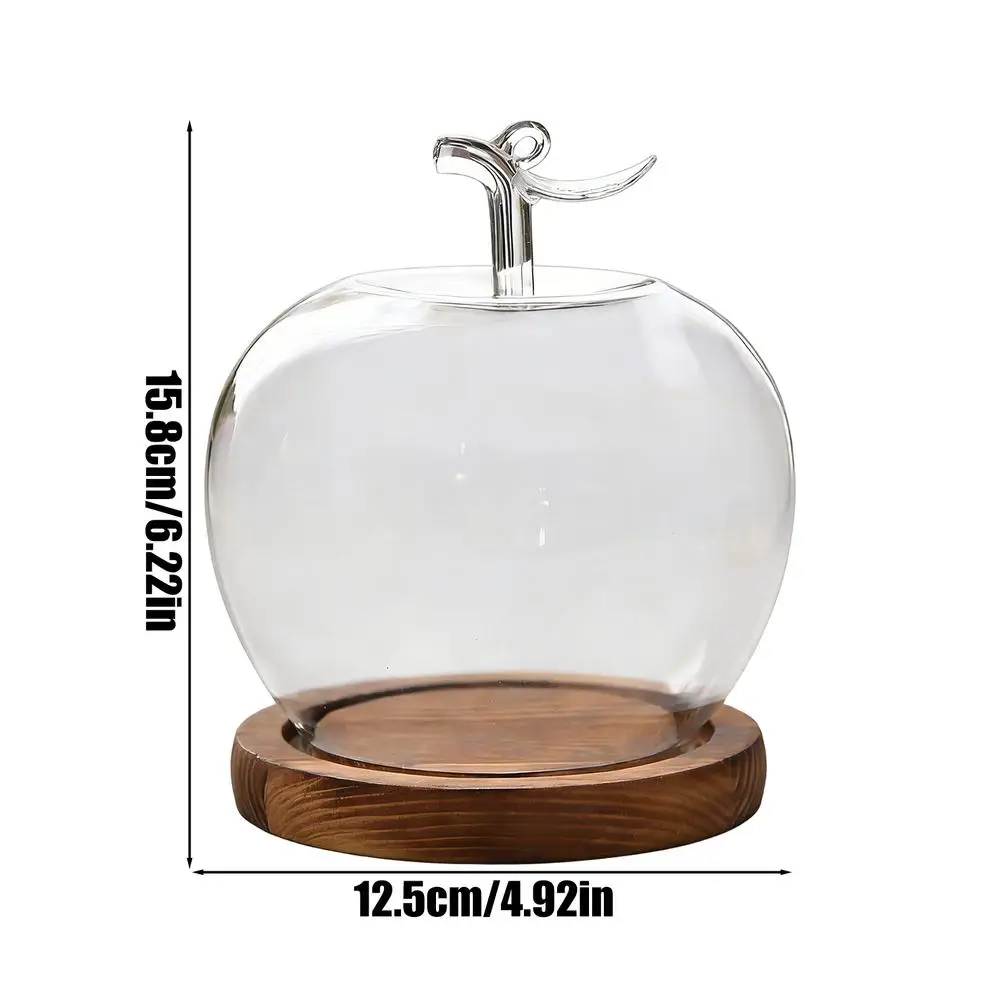 Cloche en verre pour fleurs préservées, forme de fruit, décoration de bureau pour collectionneurs, m