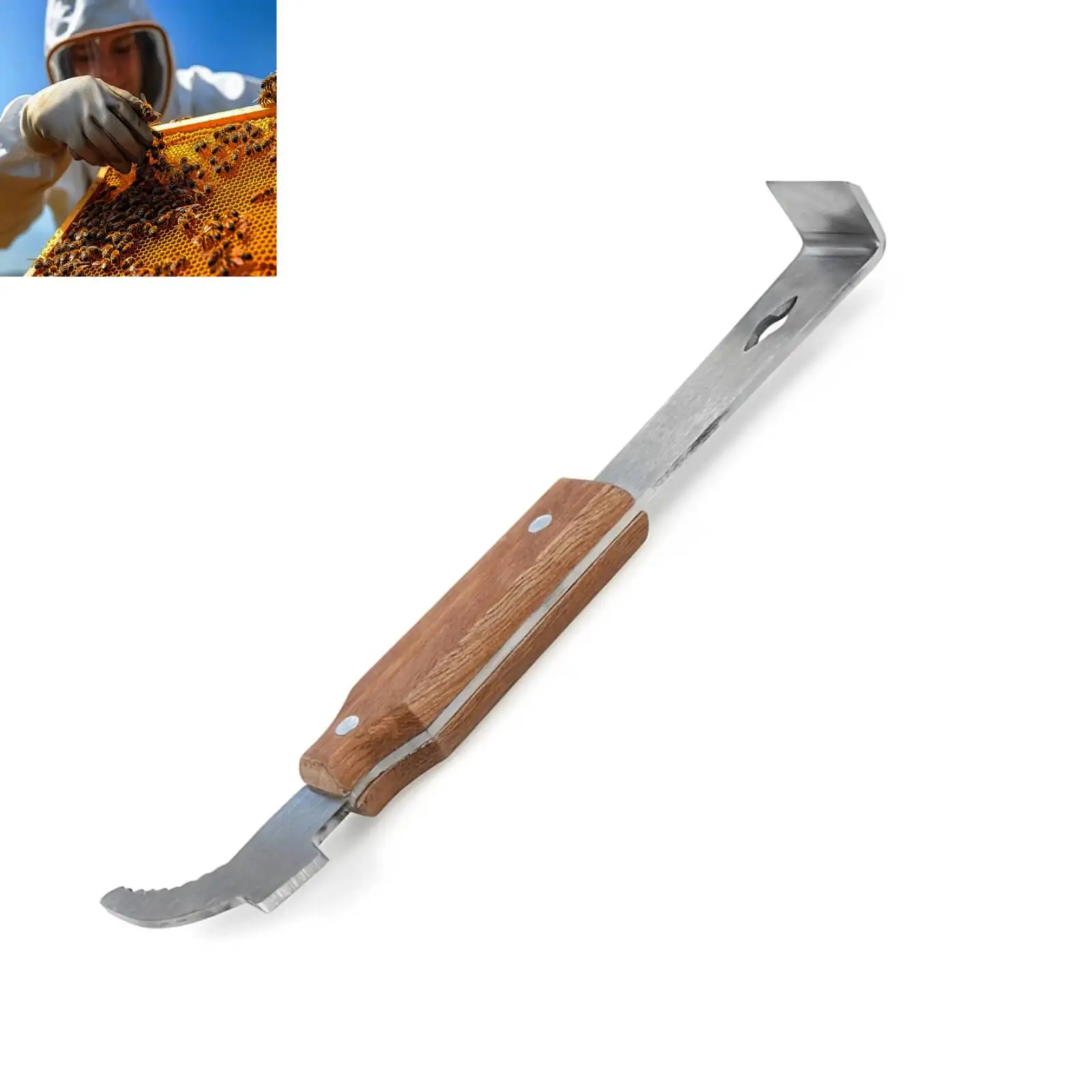 Stainless Steel Hive Tool with  Wooden Handle Beekeeping Tool For Apiary Activity