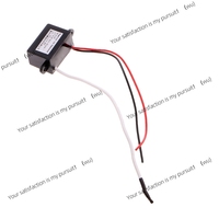 DC 12V Air Purifier Ionizer Negative Ion Anion Generator Purifier Cleaner Car