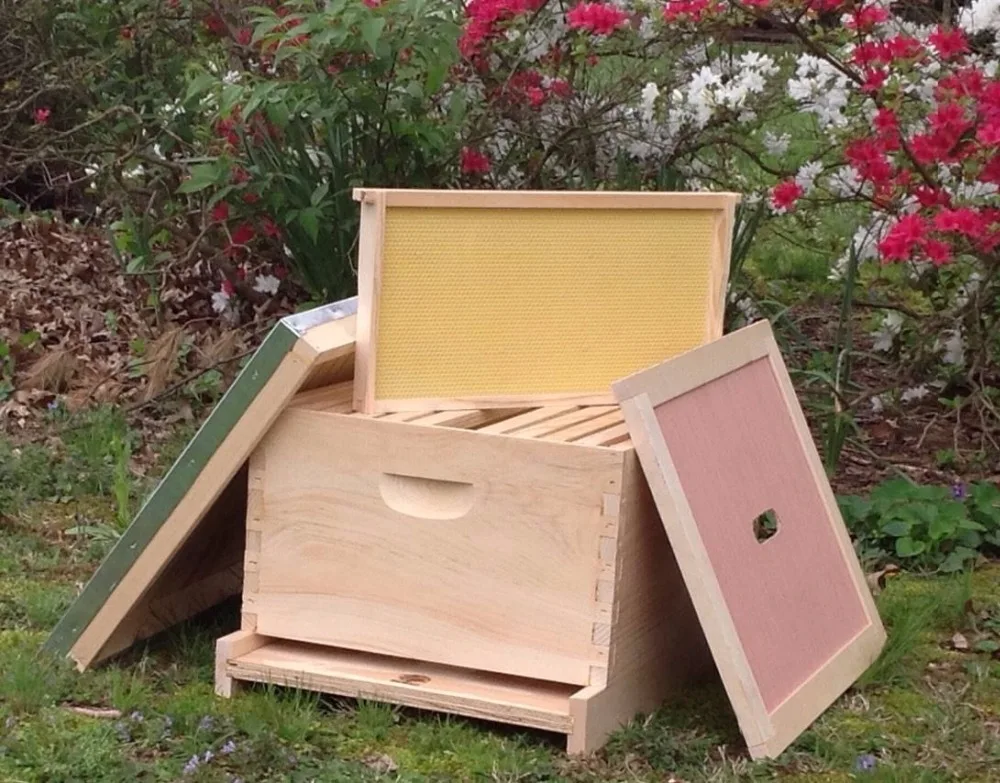 10- frame complete langstroth Beehive with frames and foundation