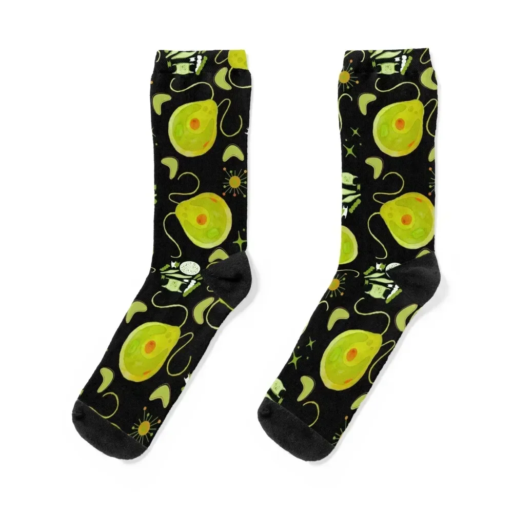 Chlamydomonas Algae Midcentury Modern Retro Microbiology Fabric Print Socks funny gifts Run Woman Socks Men's