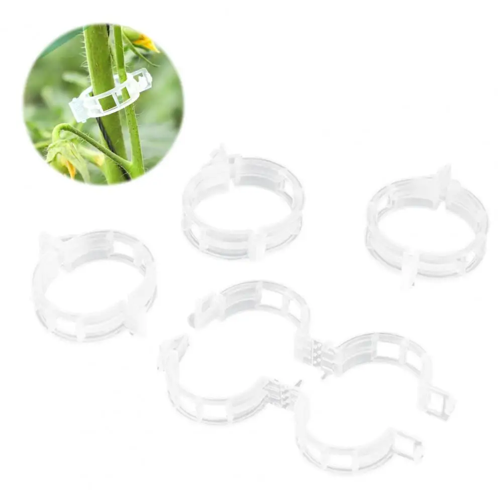 

Reusable Plant Support Clips Plant Trellis Clips for Climbing Plants Gentle Support for Tomatoes Vines Cucumbers for Grapes