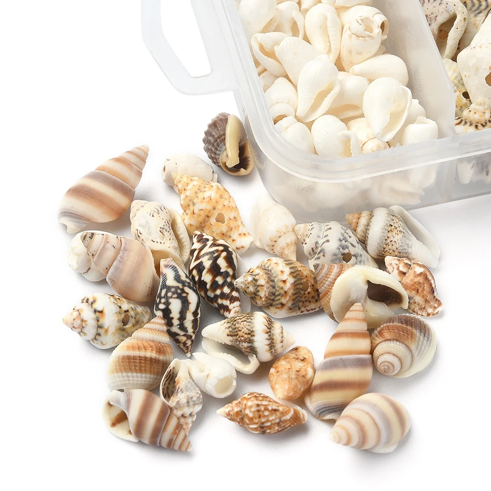 54g/box 5 Styles No Hole Mixed Natural Shell Beads Mixed Shapes for DIY Jewelry Arts and Crafts Accessories