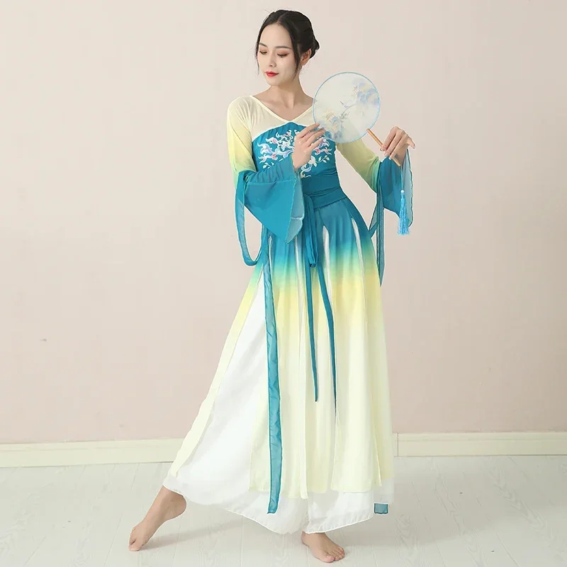 

Classical Dance Professional Performance Practice Clothes Female National Yangko Dance Wear Elegant Ancient Chinese Costume