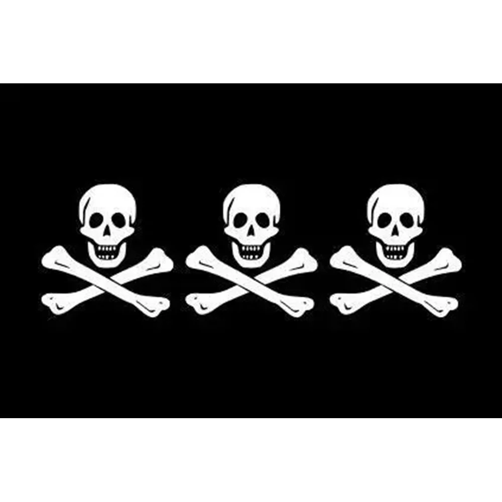 2X3FT Custom 3'x5' POLYESTER flag of christopher moody 90X150CM with two grommet custom Pirates Boat Tours banner