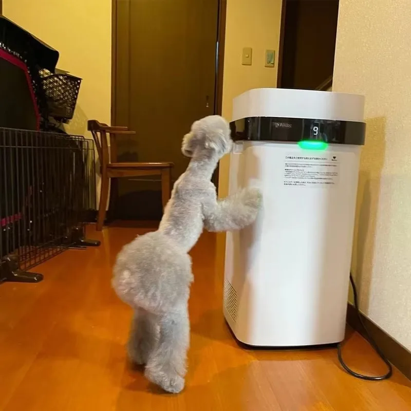 Airdog Purificação Forte Filtro Reutilizável Purificador de Ar para Quarto de Estimação Limpeza de Ar